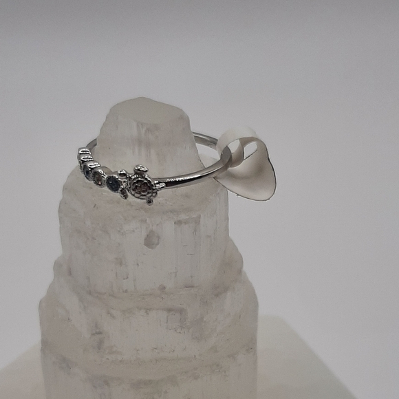 R890 Turtle Ring Set Plated - Fragrant Jewels - Picture 9 of 16